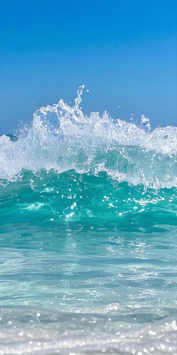 Aqua Vibes tweet media