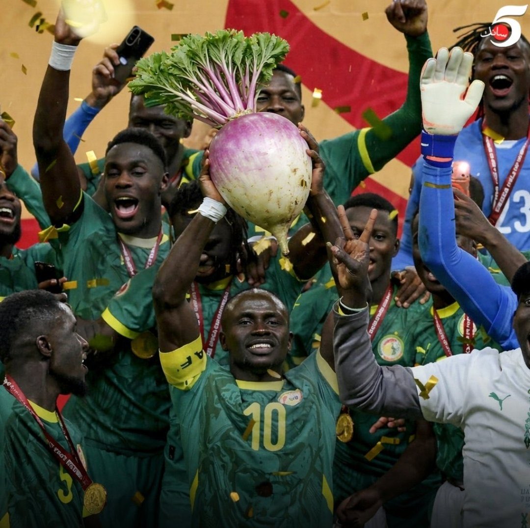 إبن الصحراء tweet media