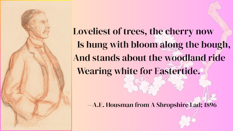 Art Remembrance Truth tweet media