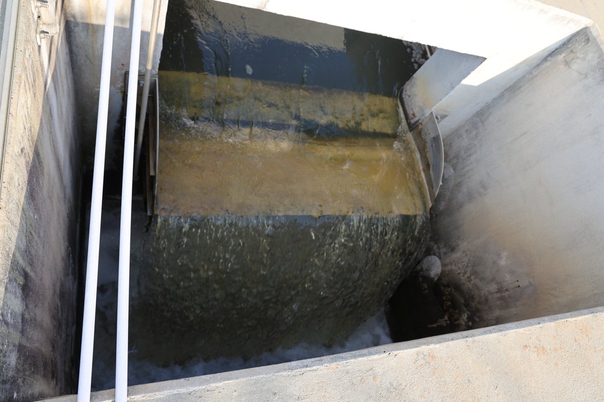 Charleston Water tweet media