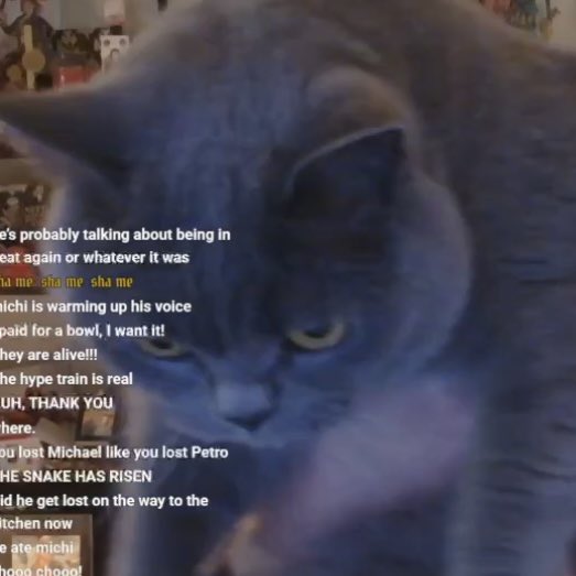 гнида миста tweet media