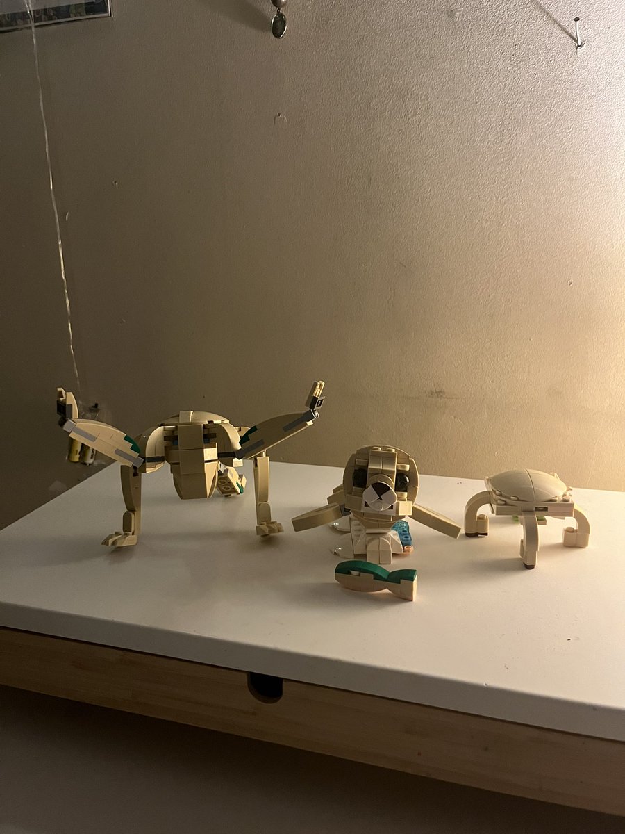 eva stratt defense attorney tweet media