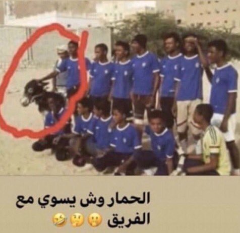 أسامه tweet media