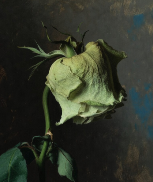 HrothN's tweet image. Ik ween om bloemen, in de knop gebroken
En vóór de ochtend van haar bloei vergaan...

- Willem Kloos -

#PRO
