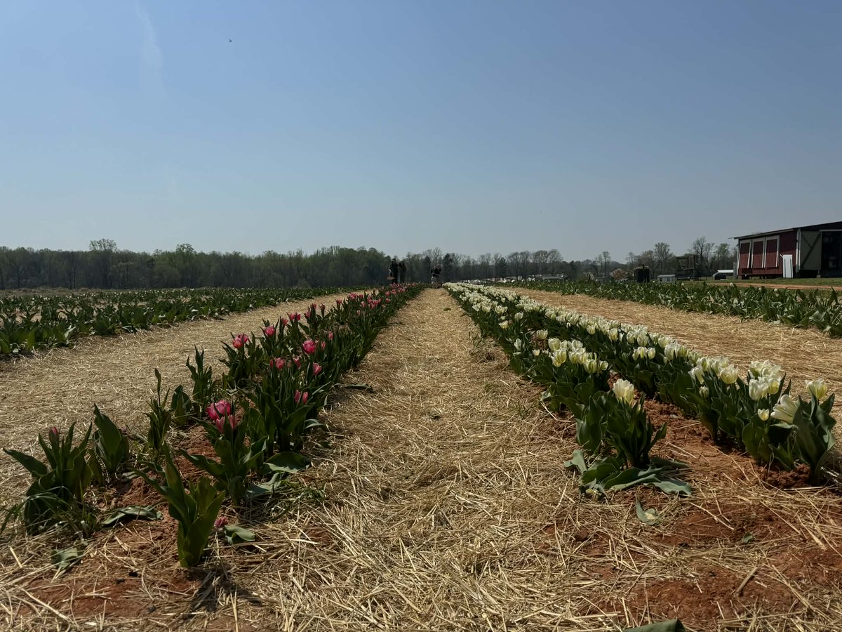 Patterson Farm, Inc. tweet media