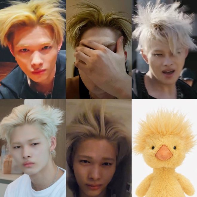 Hoon’s🫐|ENHA IS 7 tweet media