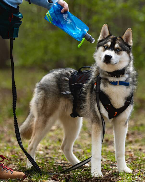 Vapur Hydration tweet media