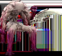 ElTurr0n tweet media