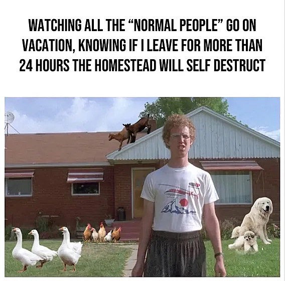 Giga Based Dad tweet media