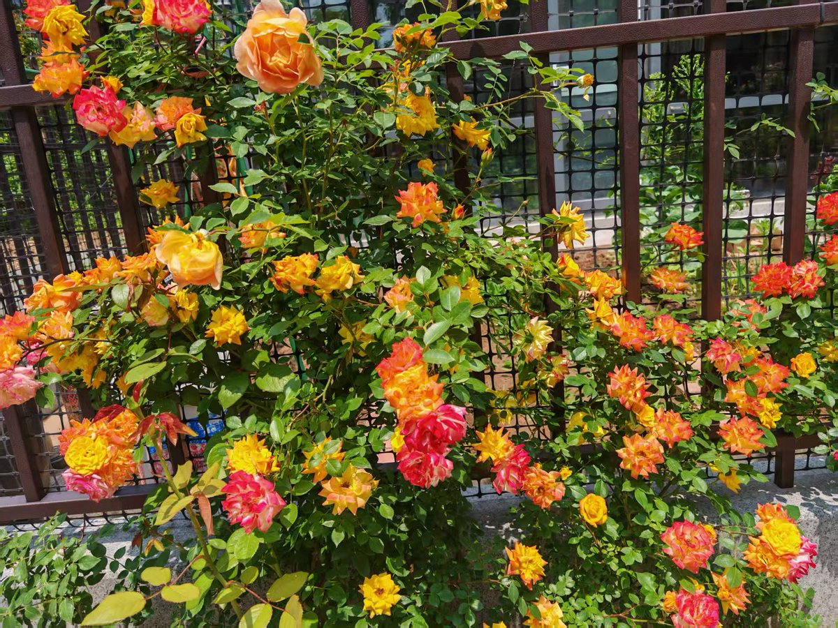 janderson tweet media