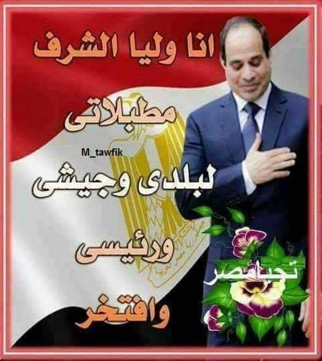 سيد مكيد 🇪🇬 tweet media