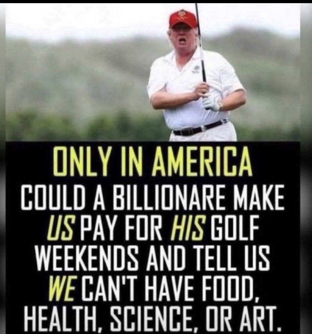 Elizabeth Banks tweet media