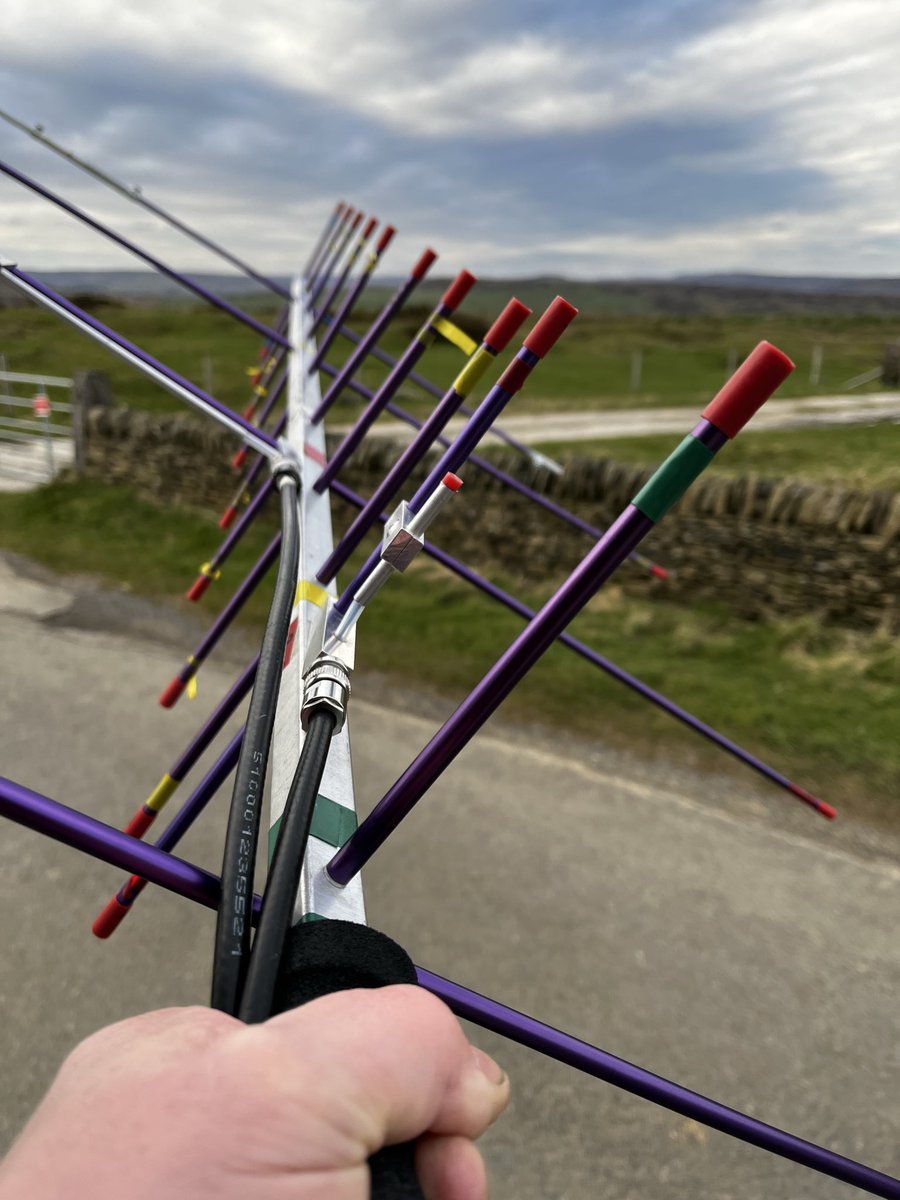 Nick M 1 D D D tweet media