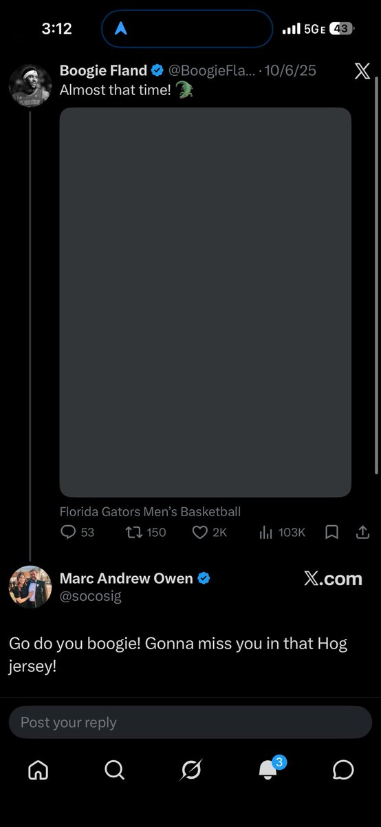 not a florida gators burner account tweet media