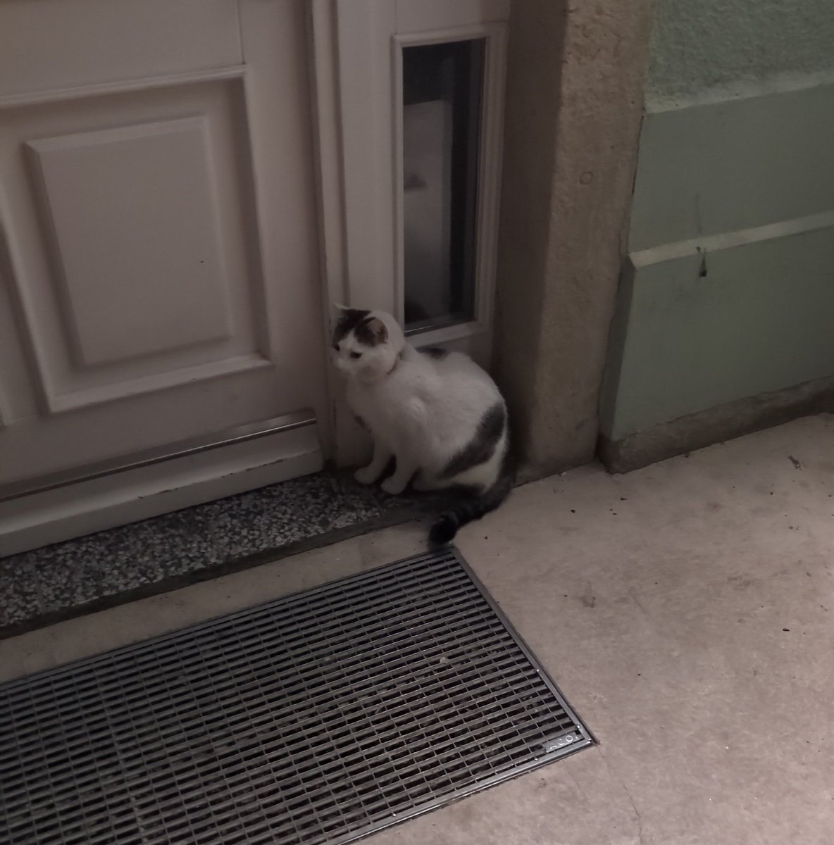 AllerhandLeserin ☮ tweet media