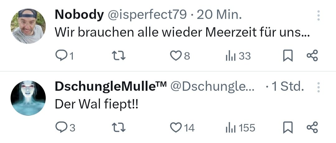 Handwerkskoala Steve🐨📯 tweet media