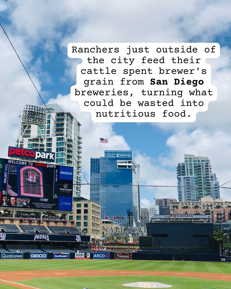 CalResilient's tweet photo. A cool fact: Ranchers just outside of the city feed their cattle spent brewer's grain from San Diego breweries, turning what could be wasted into nutritious food. https://t.co/i5SCJhXMJ5