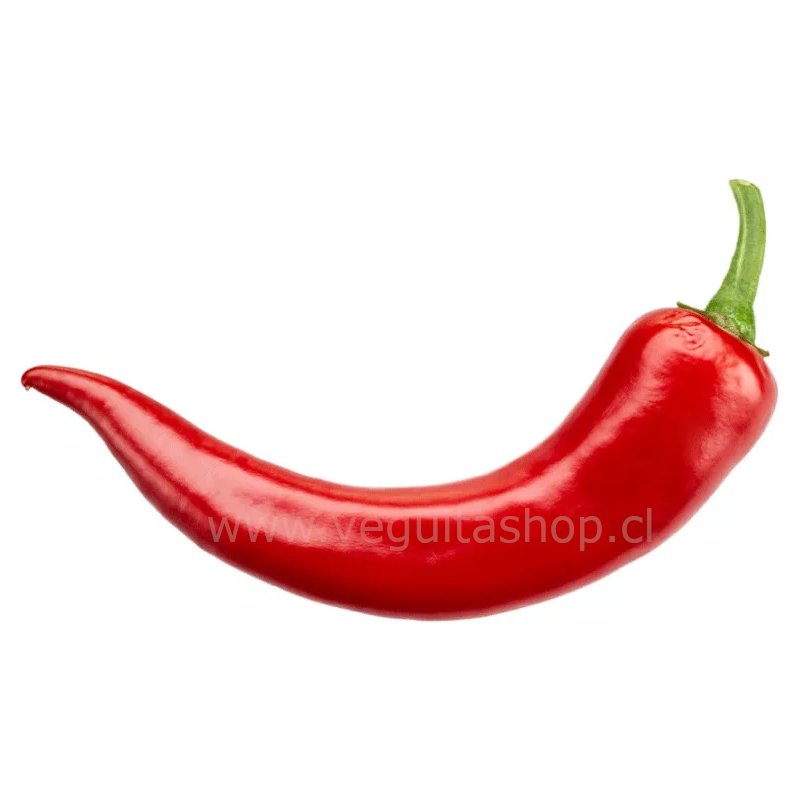 Yosuke patriota hasta el final 🇨🇱 tweet media