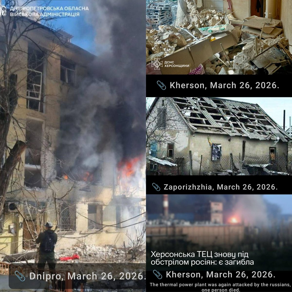 Alyona Gnedash 🇺🇦 tweet media