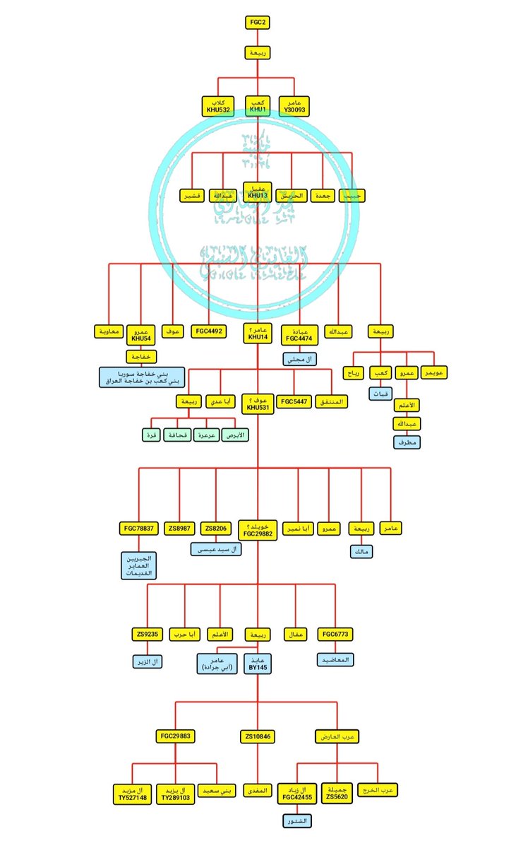 الشثري العامري🥷 tweet media