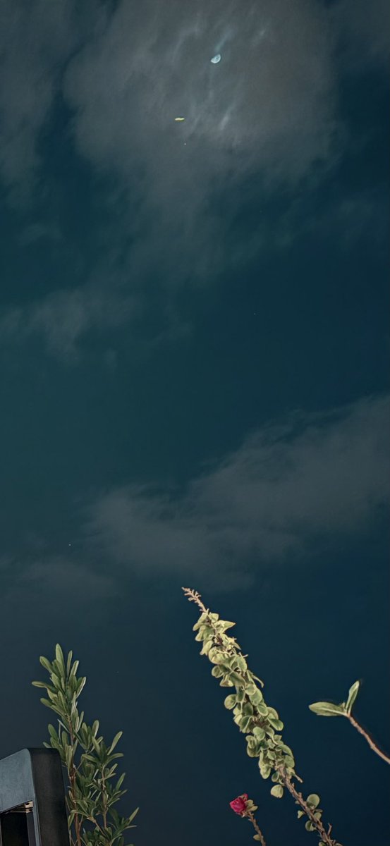 سعدSo tweet media