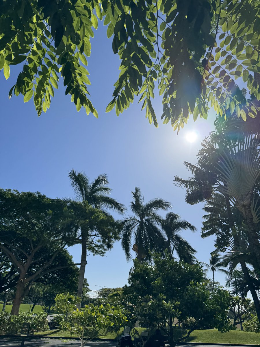 小篠和弥 こしのかずや kazo。👓🫰 tweet media