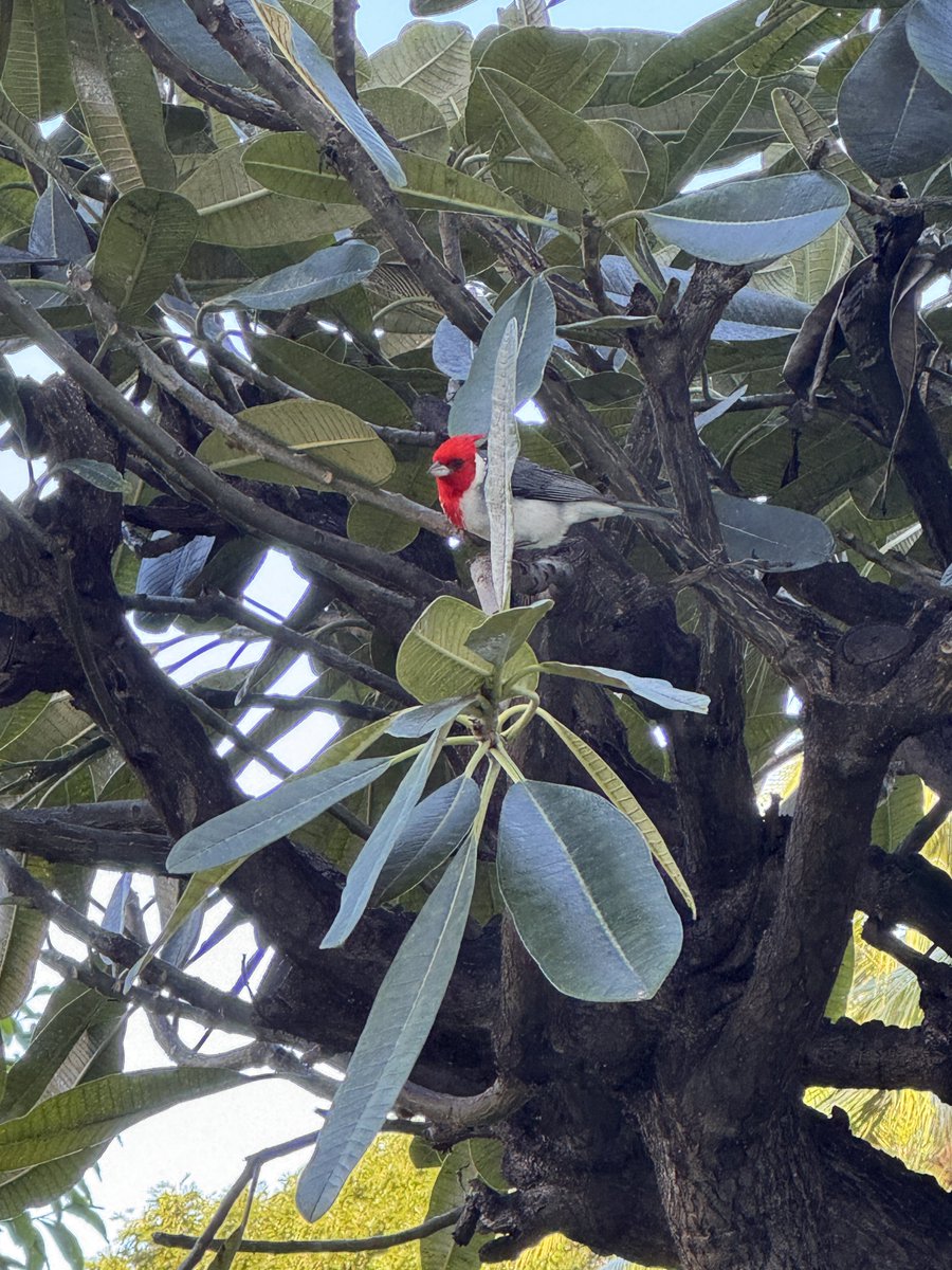 小篠和弥 こしのかずや kazo。👓🫰 tweet media