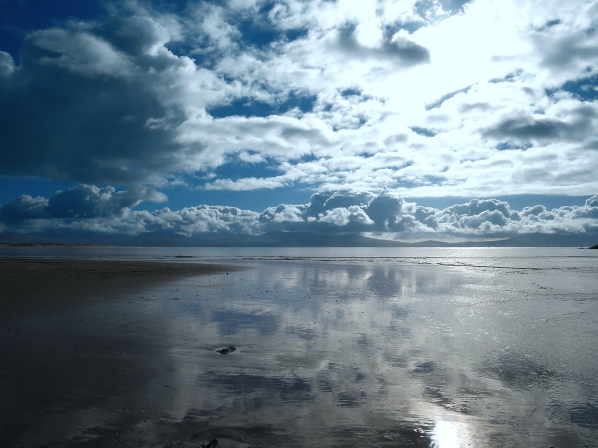 RGP 🇵🇱🏴 tweet media