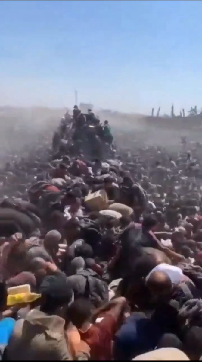 عبود بطاح🇵🇸 tweet media