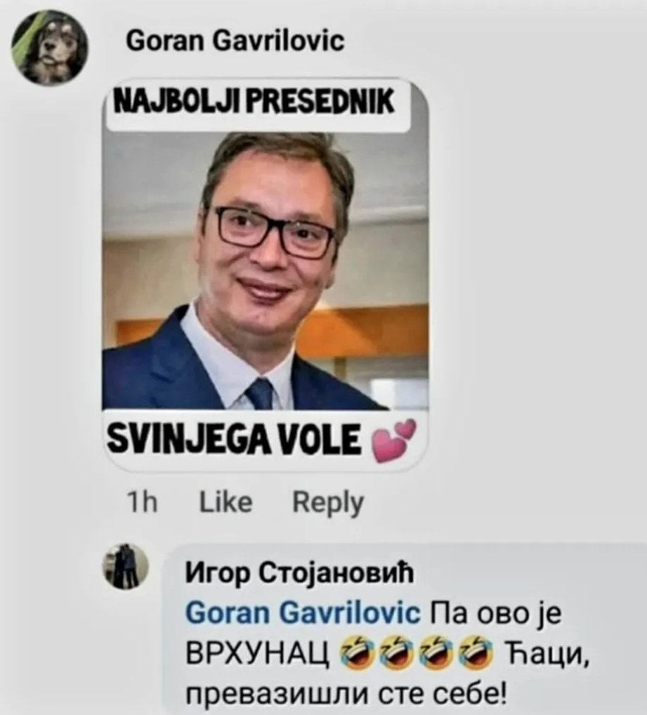 Nikola Manak tweet media