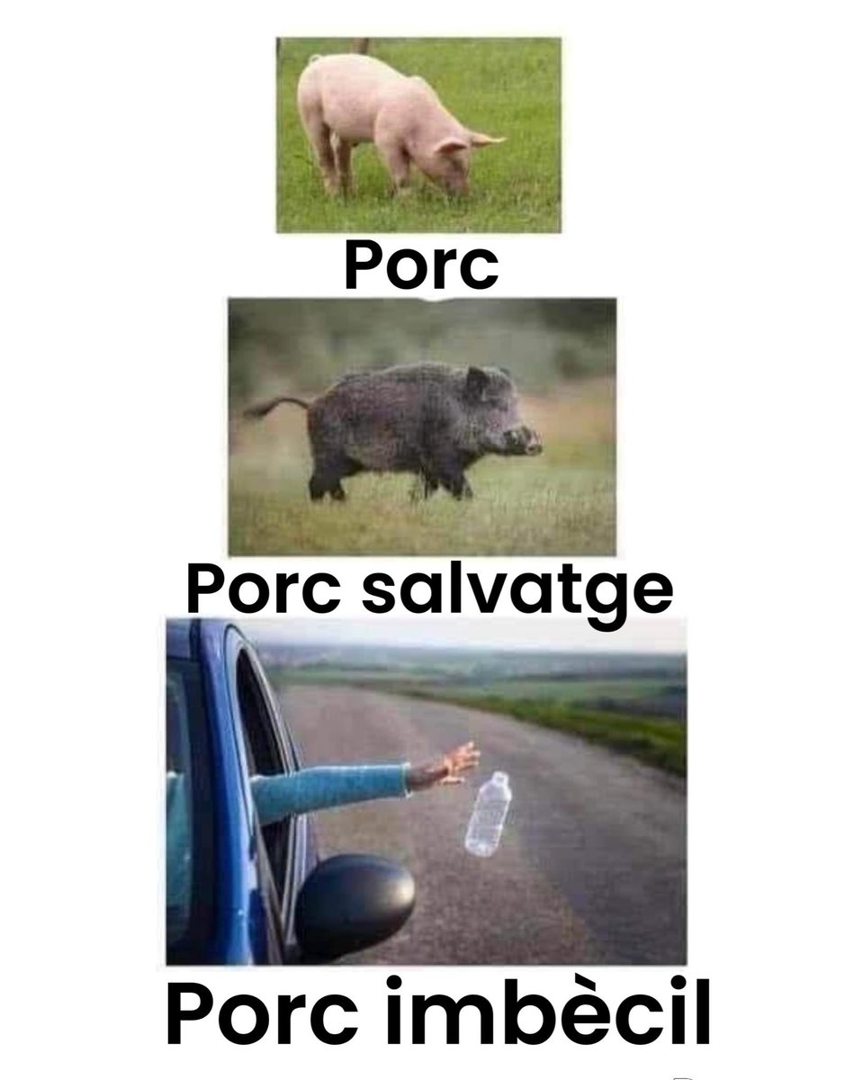 nascudaalasegarra tweet media