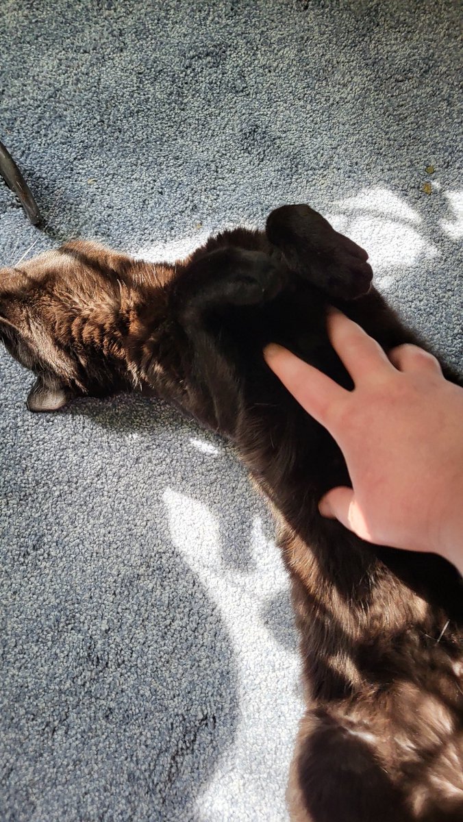 The Diabetic Lich tweet media