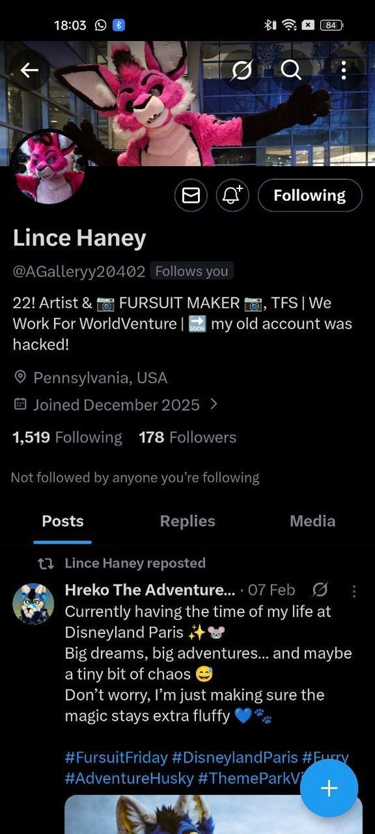 Fidget The Bat🦇 tweet media