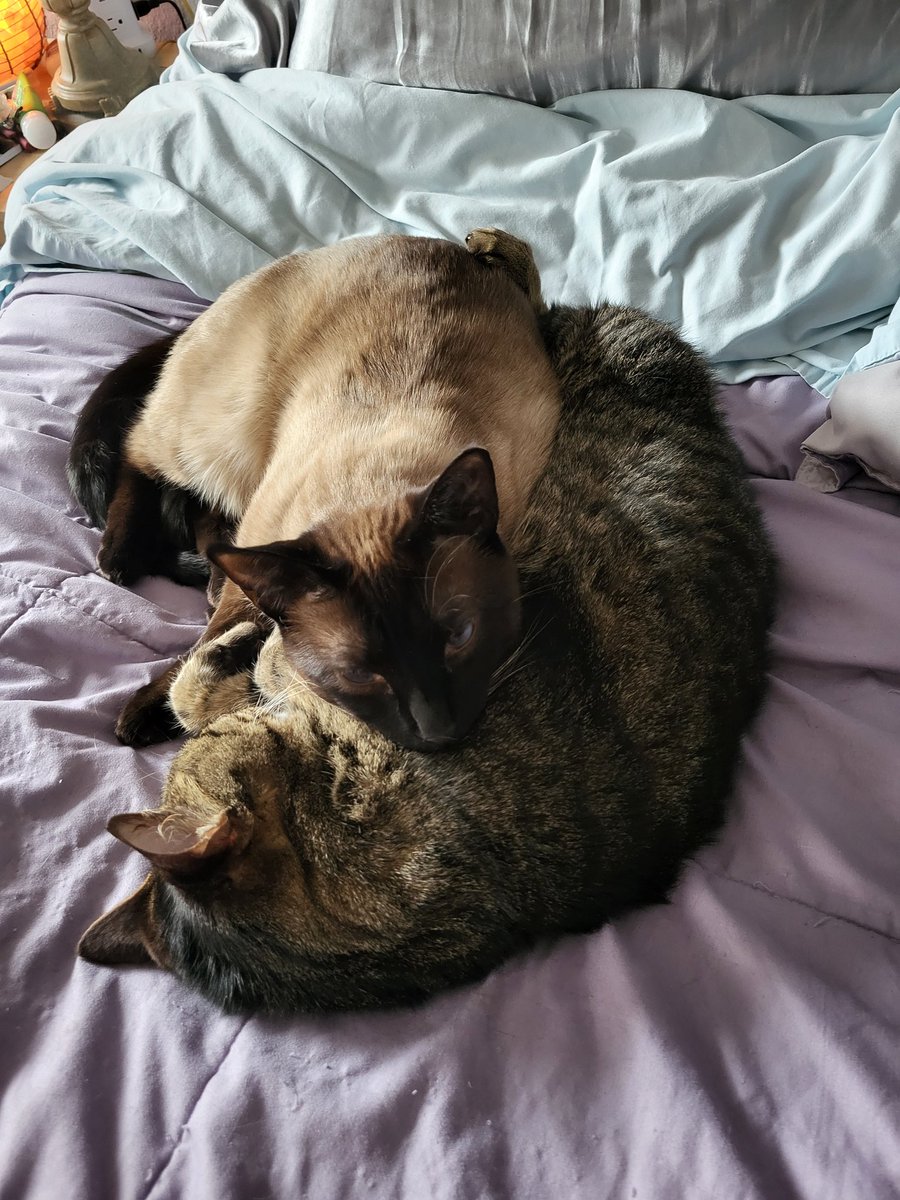 The Diabetic Lich tweet media