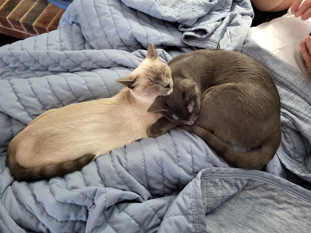 The Diabetic Lich tweet media