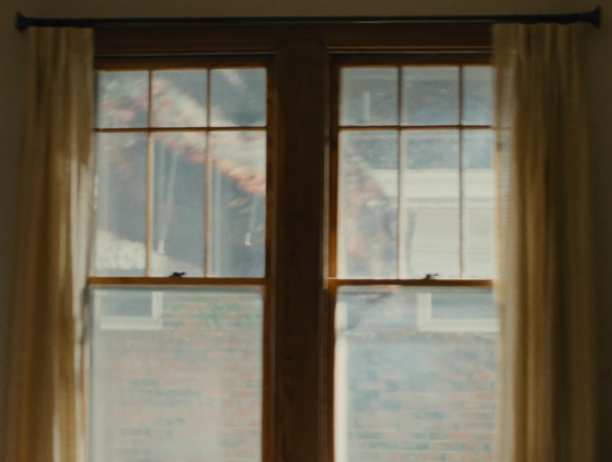 Fredward95 tweet media