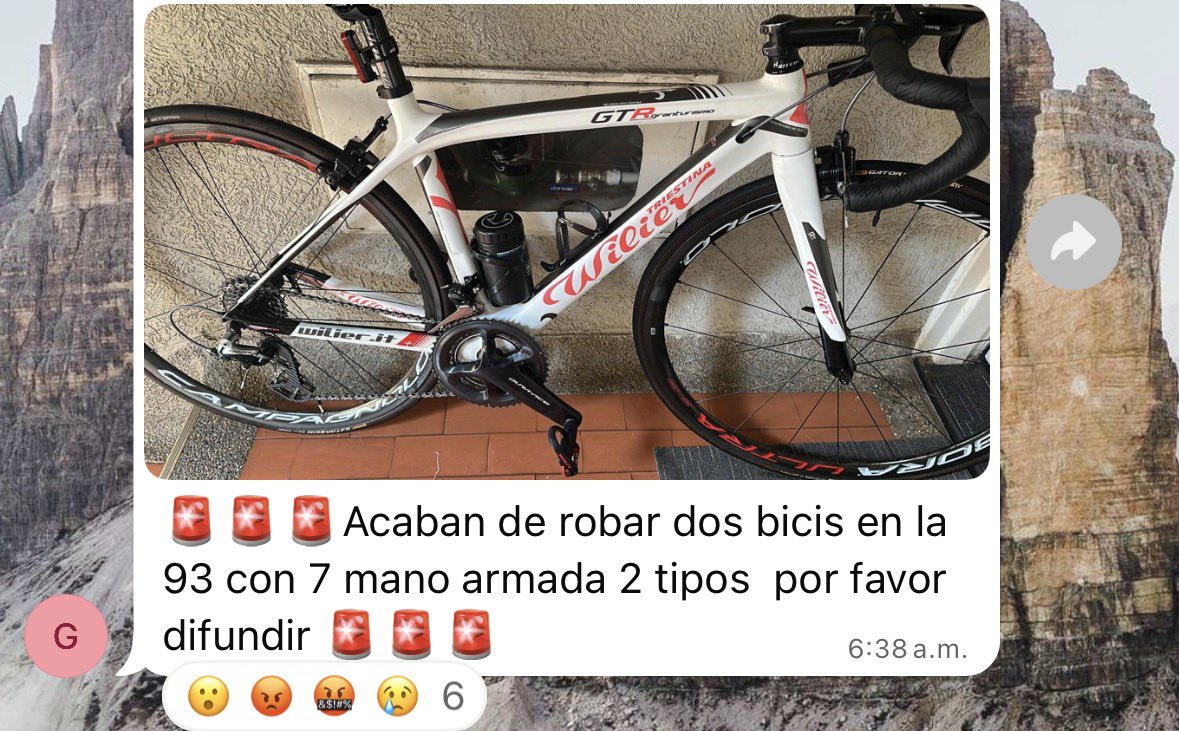 edwin.perilla tweet media