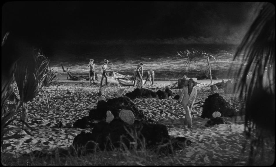 L’hirond’aile tweet media