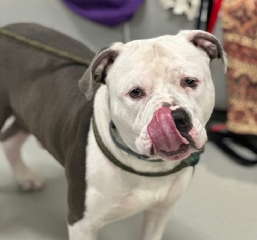 Julie🌻🐾 tweet media