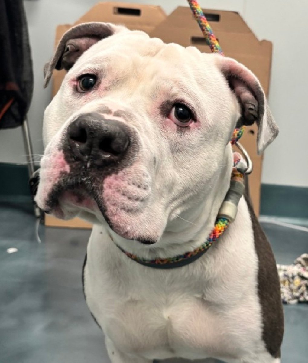 Julie🌻🐾 tweet media