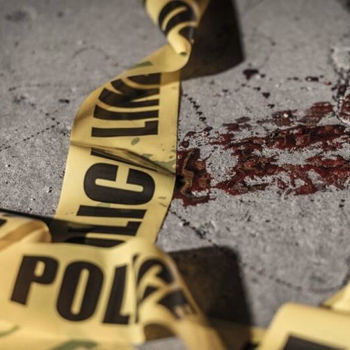 ʚ . gabi . ɞ | OR3 is coming tweet media