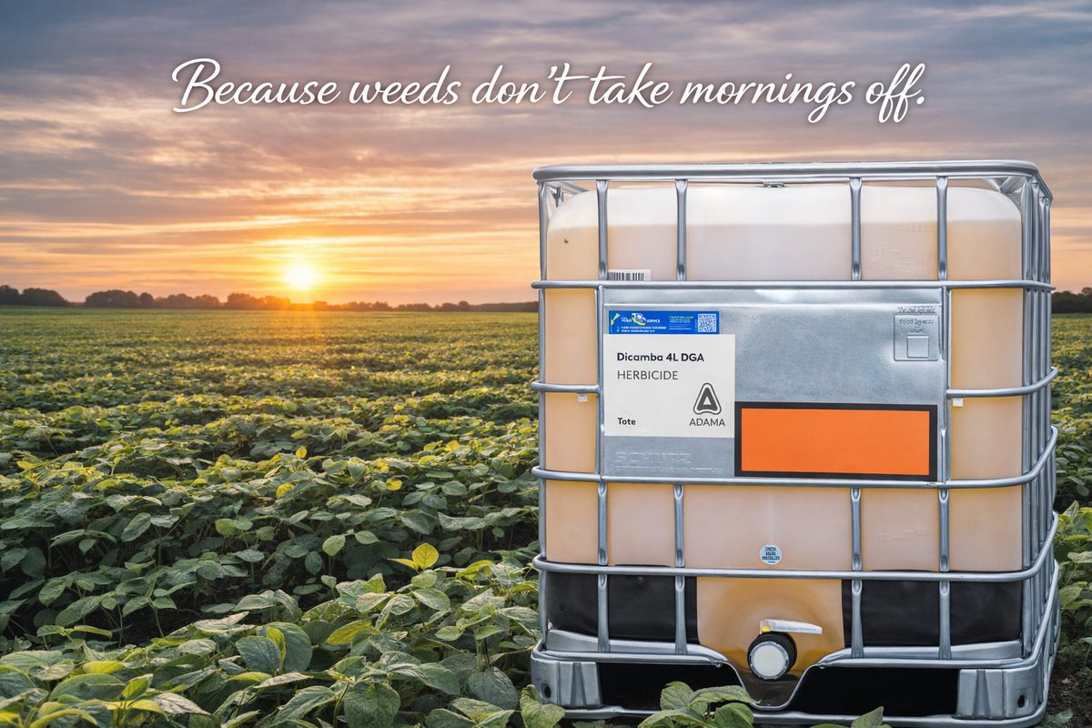 adamaUS's tweet image. Weeds don’t wait. Neither should your program.

Meet Dicamba 4L DGA — built to deliver reliable broadleaf control with reduced volatility potential and the flexibility to fit right into your burndown strategy.

#WeedControl #Ag #Farming #CropProtection

bit.ly/4lTYJJu