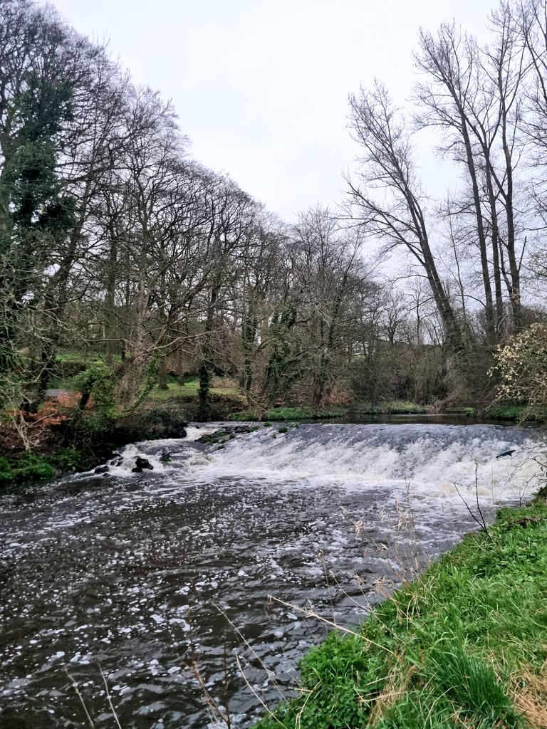 Bridge Books Dromore Co Down 📚 tweet media