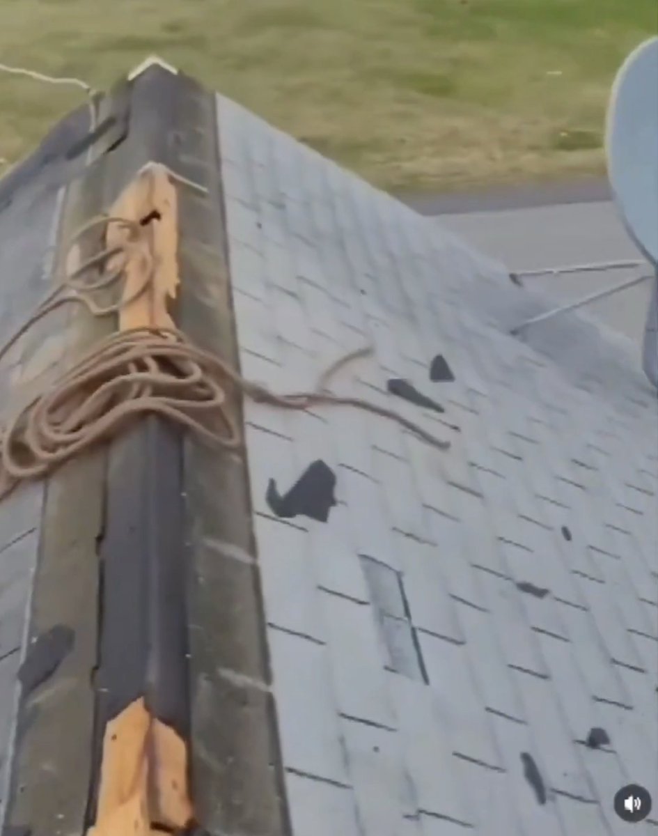 HeedlessHorizon tweet media