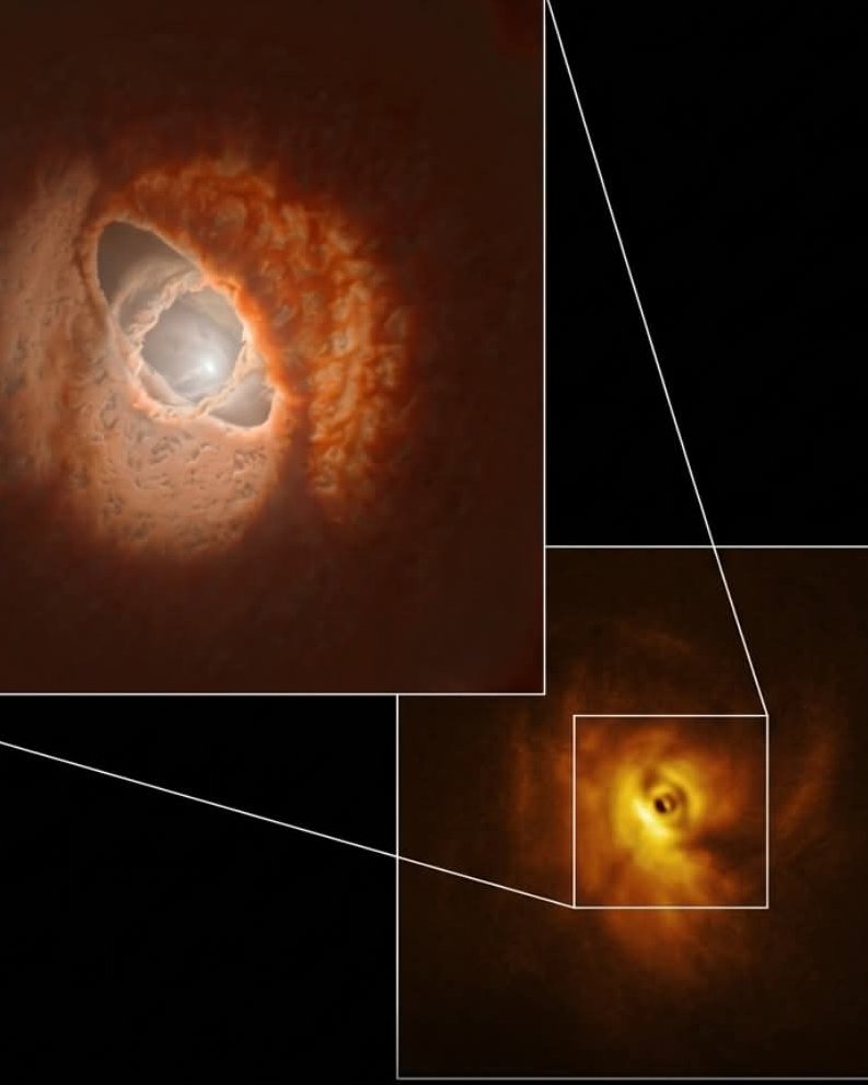 Black Hole tweet media