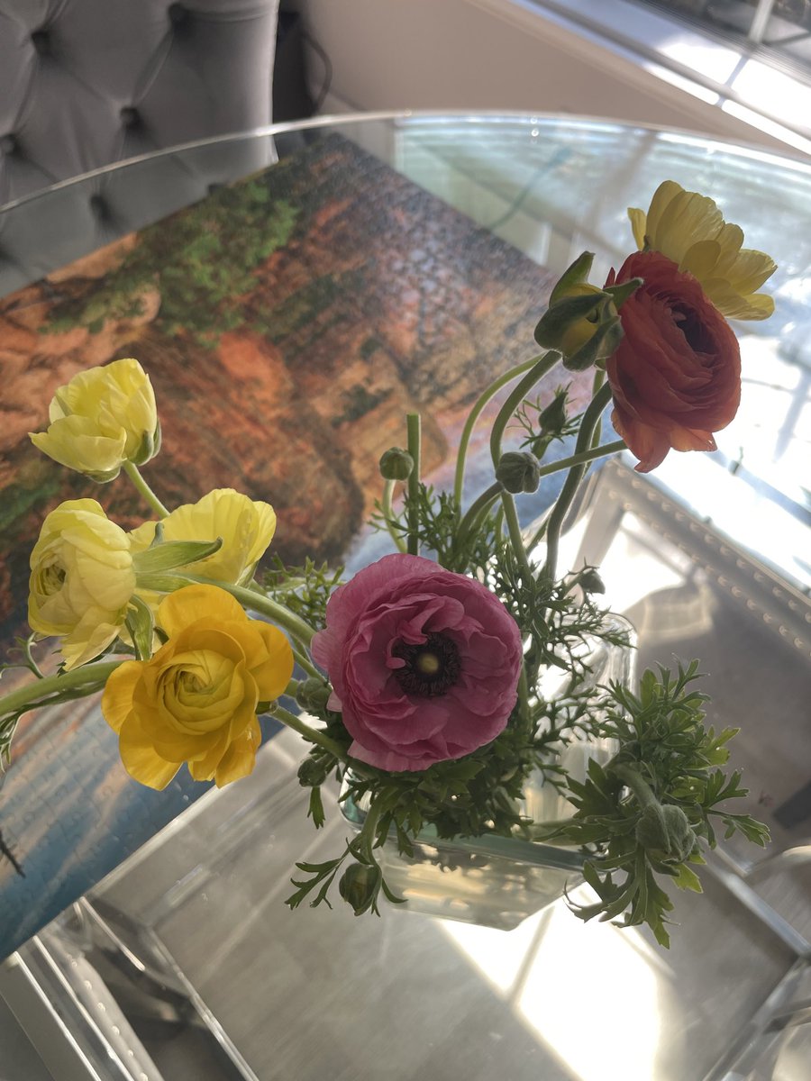 Charlotte Stokely 🐝 tweet media