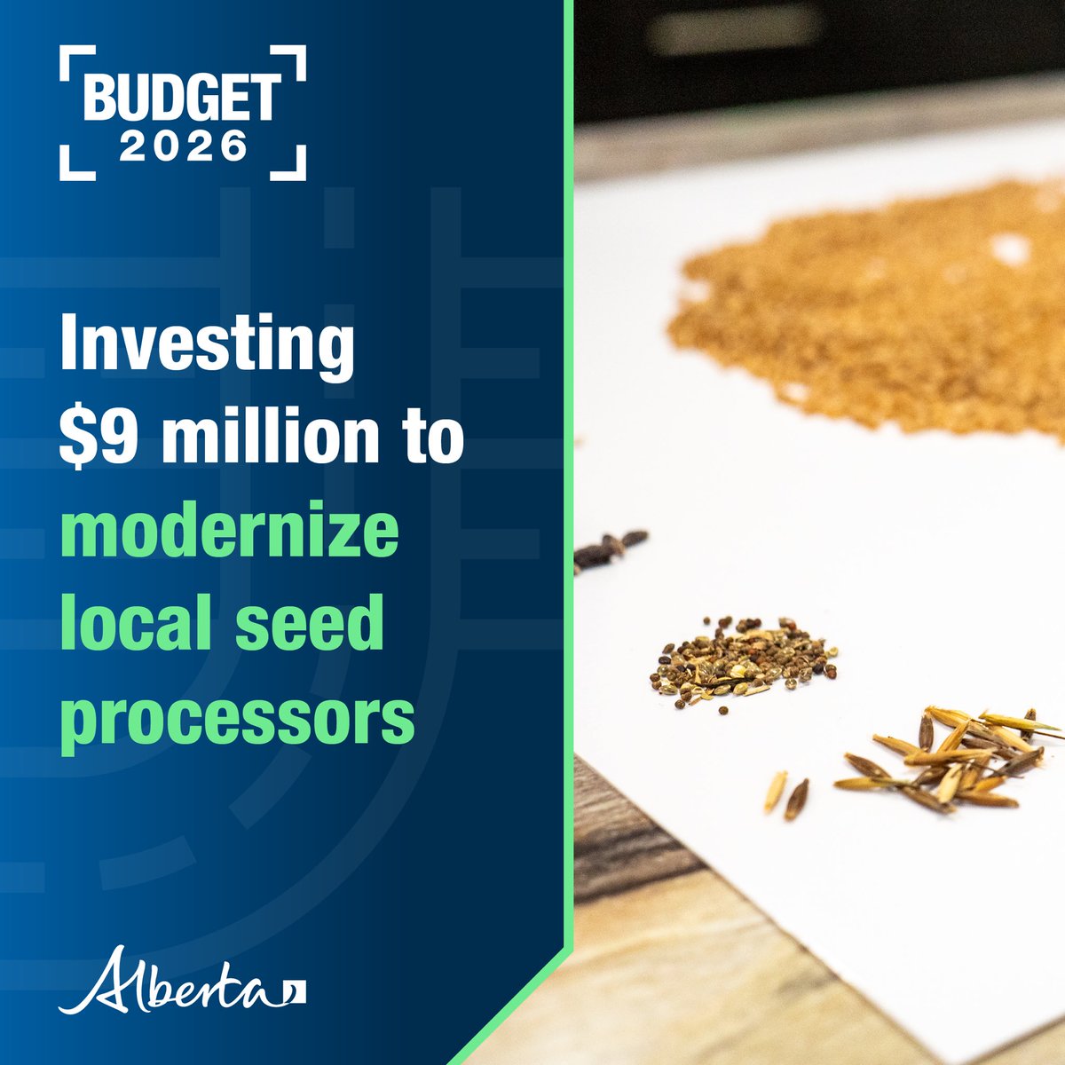 RJ Sigurdson tweet media