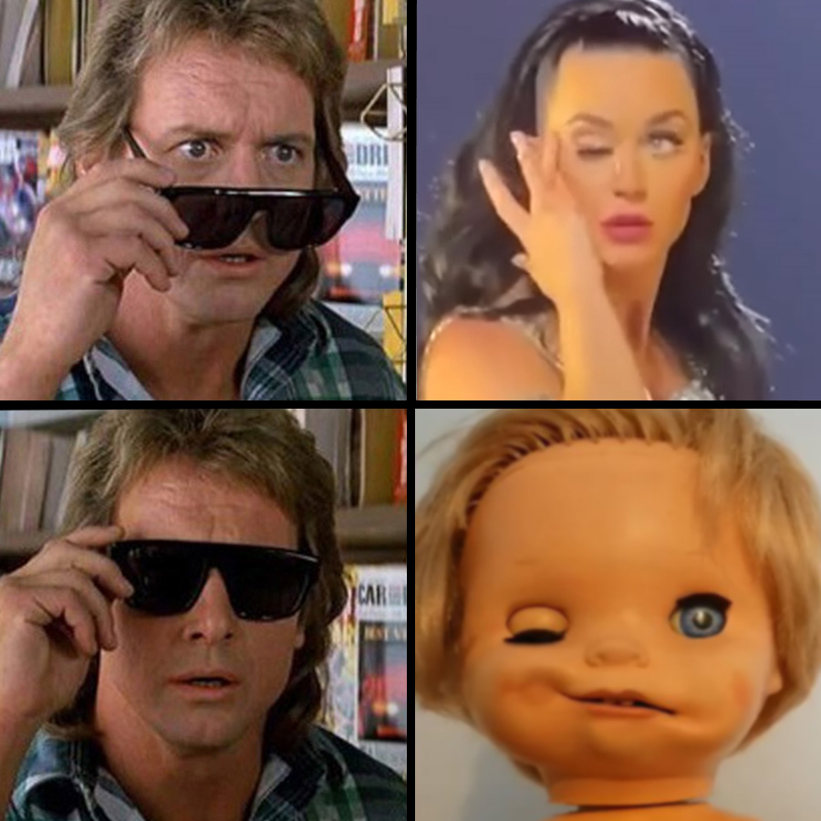 Fin Renard tweet media