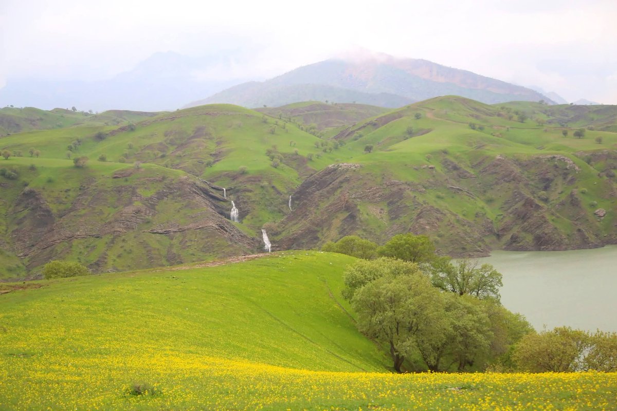 sozirv's tweet photo. Halabja , Kurdistan https://t.co/JuC1ZzNkYI