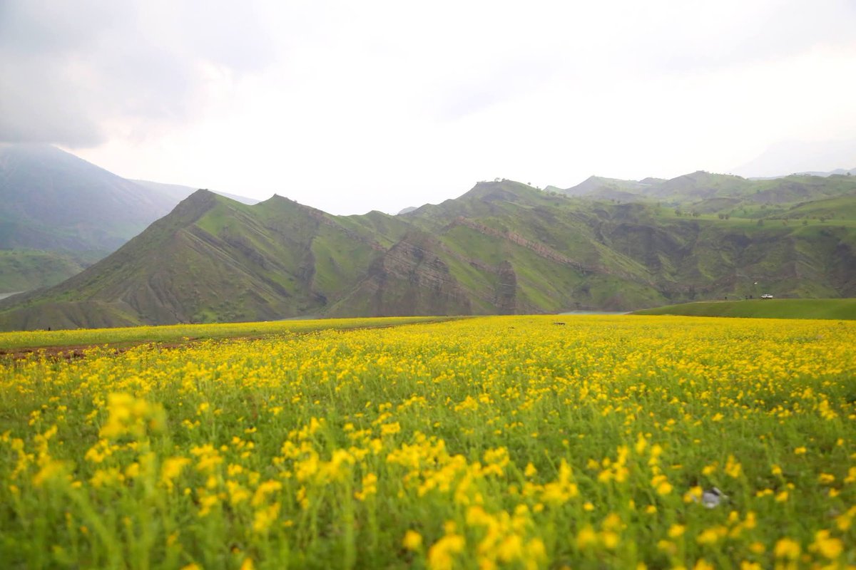 sozirv's tweet photo. Halabja , Kurdistan https://t.co/JuC1ZzNkYI